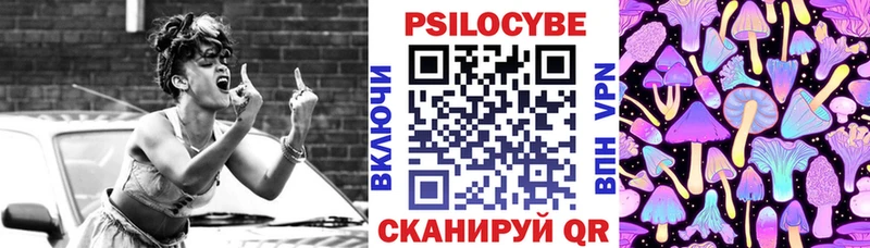 наркотики  Мегион  Псилоцибиновые грибы Cubensis 