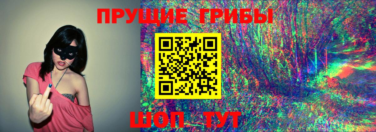 дарнет шоп  Псилоцибиновые грибы Psilocybe  Вход с VPN  Мегион  Галлюциногенные грибы ЛСД 